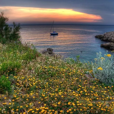 La Petite Calanque-2